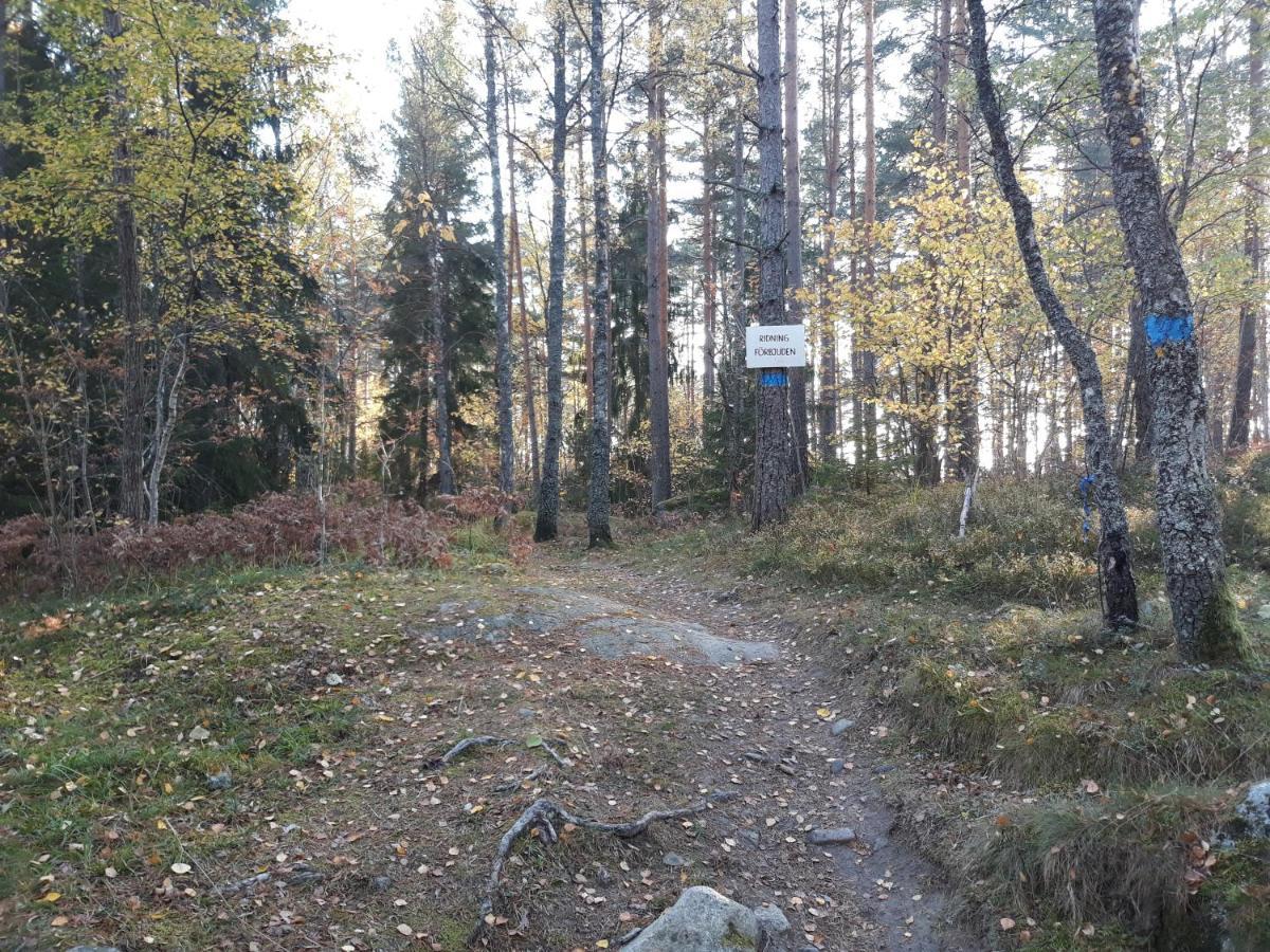 Tiny House In The Middle Of Nature Åkersberga Exterior foto